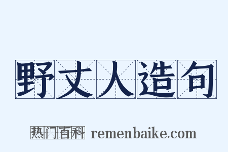 野丈人造句是什么意思的图片